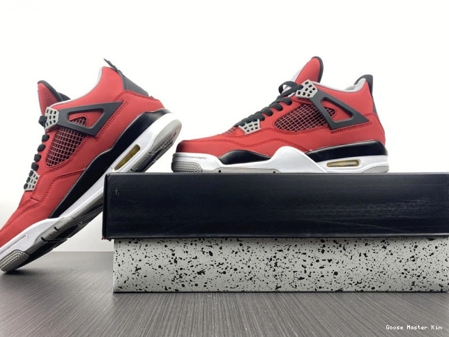308497-603 Bravo Jordan Retro Toro 4 0808